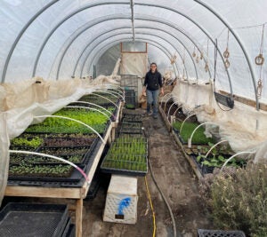 Minoru-Farm-Greenhouse-Colorado