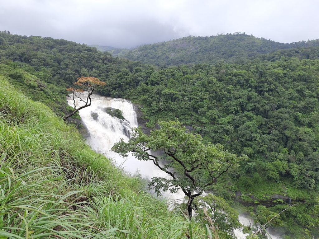 Malalli falls is located within the hills of the Western Ghats. 