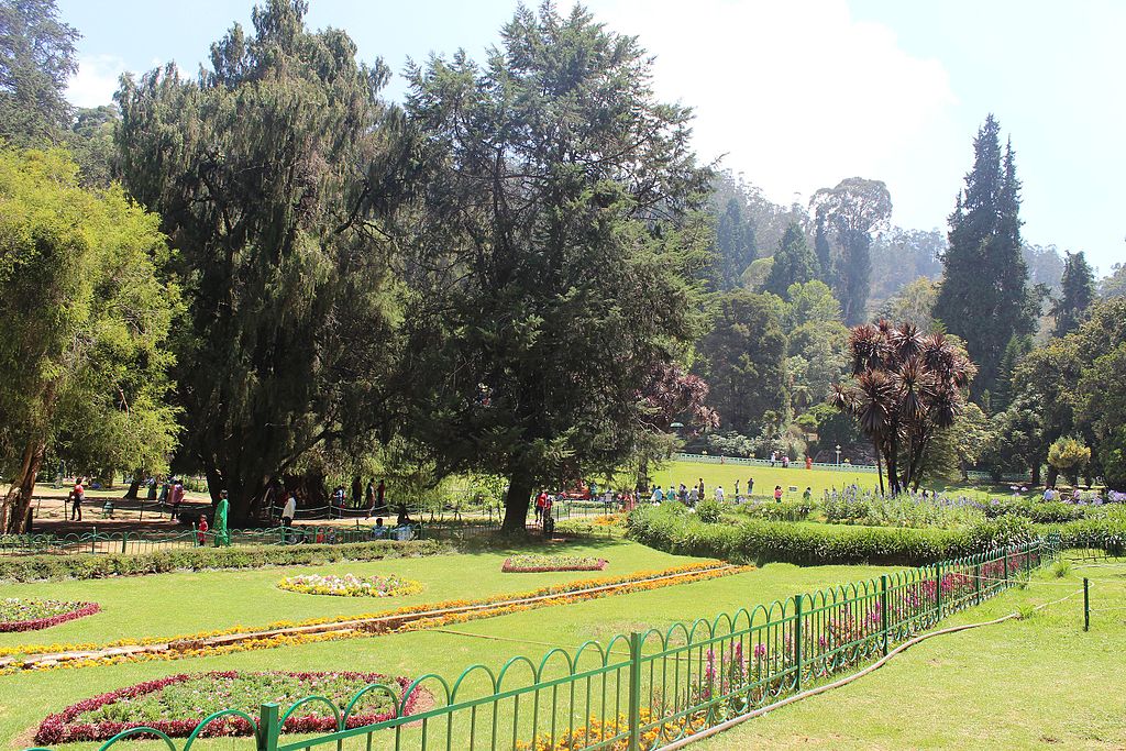 ooty botanical garden is a must visit place