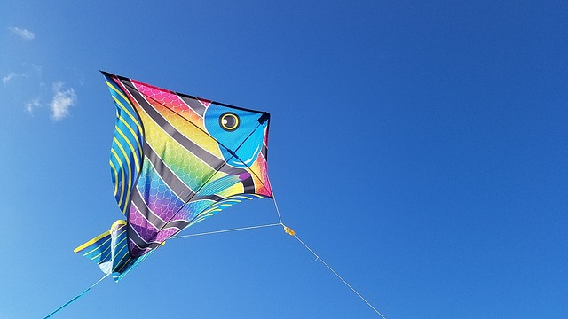 Kuzhupilly beach is famous for holding kite festivals. 