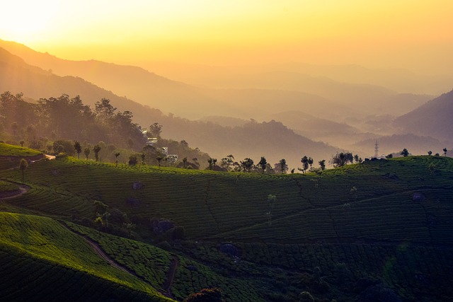 munnar best time to visit depends on peoples personal preferences.